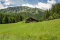 Classic swiss chalet in the middle of green alpine meadows . Cozy rural village Champery in Switzerland. Bright blue sky and white Royalty Free Stock Photo