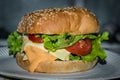 Classic tasty and unhealthy hamburger. Gain weight street food and fast food.