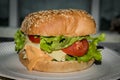 Classic tasty and unhealthy hamburger. Gain weight street food and fast food.