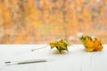 Classic thermometer and yellow leaves on white table, with autumn colors on background. Cold and flu season treatment concept