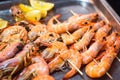 Classic tiger shrimp skewers. Shrimps sriracha kebabs with lemon for dinner. Delicious prawn spit prepared on grill. Extreme close Royalty Free Stock Photo