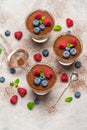 Classic tiramisu dessert with blueberries and raspberries in a glass and strainer with cocoa powder on concrete