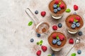 Classic tiramisu dessert with blueberries and raspberries in a glass and strainer with cocoa powder on concrete