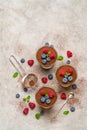 Classic tiramisu dessert with blueberries and raspberries in a glass and strainer with cocoa powder on concrete