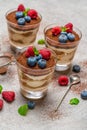 Classic tiramisu dessert with blueberries and raspberries in a glass and strainer with cocoa powder on concrete