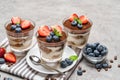 Classic tiramisu dessert with blueberries and strawberries in a glass on concrete background Royalty Free Stock Photo