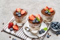 Classic tiramisu dessert with blueberries and strawberries in a glass on concrete background Royalty Free Stock Photo