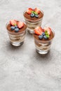 Classic tiramisu dessert with blueberries and strawberries in a glass on concrete background Royalty Free Stock Photo