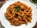 Classic Hungarian chicken paprikash with fusilli pasta. Royalty Free Stock Photo