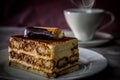 Classic, traditional tiramisu fresh cake. Italian, biscuit. Royalty Free Stock Photo