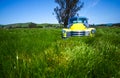 Classic truck in beautiful meadow Royalty Free Stock Photo