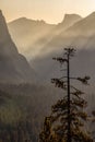 Classic Tunnel View of scenic Yosemite Valley with famous El Capitan and Half Dome, Yosemite National Park, California, USA Royalty Free Stock Photo