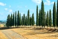 Classic Tuscan landscape with cypress trees in the summer sunny day. Royalty Free Stock Photo