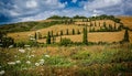 Classic Tuscan landscape of cypress trees and wheat fields. Royalty Free Stock Photo