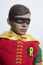 Classic Tv Show Batman and Robin Hot Toys Action Figures