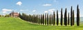 Classic View of Tuscan Farmhouse, Green Field and Cypress Tree R