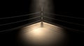 Classic Vintage Boxing Ring Corner Royalty Free Stock Photo