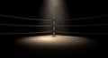 Classic Vintage Boxing Ring Corner Royalty Free Stock Photo