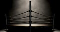 Classic Vintage Boxing Ring