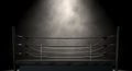 Classic Vintage Boxing Ring Royalty Free Stock Photo