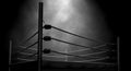 Classic Vintage Boxing Ring Royalty Free Stock Photo