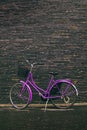 Classic Vintage Purple Hipster Bicycle on the Street