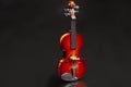 Classic violin on black background. Royalty Free Stock Photo