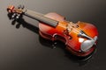 Classic violin on black background. Royalty Free Stock Photo