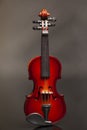 Classic violin on black background. Royalty Free Stock Photo