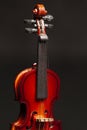 Classic violin on black background. Royalty Free Stock Photo