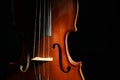 Classic violin on black background, closeup Royalty Free Stock Photo