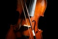 Classic violin and bow on background, closeup Royalty Free Stock Photo