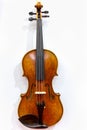 Classic violin closeup Royalty Free Stock Photo