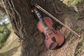 A classic violin is under tree Royalty Free Stock Photo