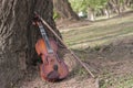 A classic violin is under tree Royalty Free Stock Photo