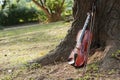 A classic violin is under tree Royalty Free Stock Photo