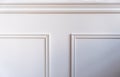 Classic wainscot wood decoration detail. Retro white wall wooden panel, close up view