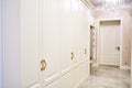 Classic wardrobe and interior door in contemporary bright hallway