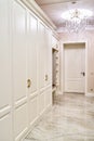 Classic wardrobe and interior door in contemporary bright hallway