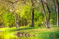 Classic white bicycle parked under a tree at the waterfront. Royalty Free Stock Photo