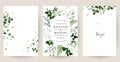 Classic white orchid flowers, eucalyptus, fern, salal, herbs, emerald greenery cards