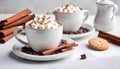 A classic winter beverage is a cup of hot chocolate or cocoa with marshmallows, cinnamon, and cookies on a white table