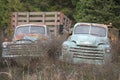 Classic work trucks Royalty Free Stock Photo