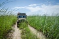 Classic 4x4 offroad car on overgrown track with high grass in Northern Angola, Africa