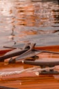 Classic Yacht Details Royalty Free Stock Photo