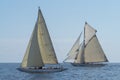 Classic yacht regatta