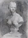 Classical academic pencil drawing of marble bust Venus on paper study sketch