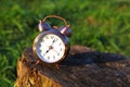 Classical alarm clock stand on stub Royalty Free Stock Photo