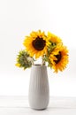 Classical artistic aesthetic, summer flower, still life composition and beauty in nature concept theme with sunflowers in a vase Royalty Free Stock Photo