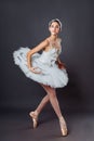 Classical Ballet dancer portrait. Beautiful graceful ballerina in white tutu from Swan lake practice releve ballet position in the Royalty Free Stock Photo